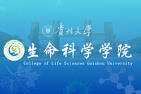 完美体育平台官网 Logo